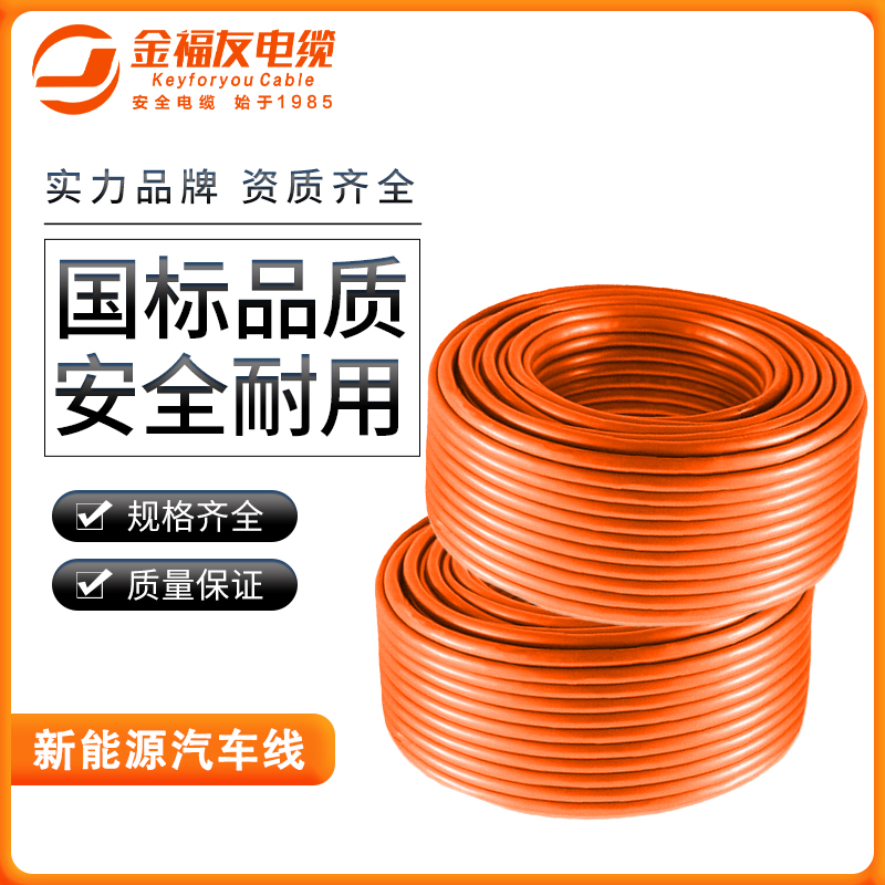 金福友產品-新能源汽車線