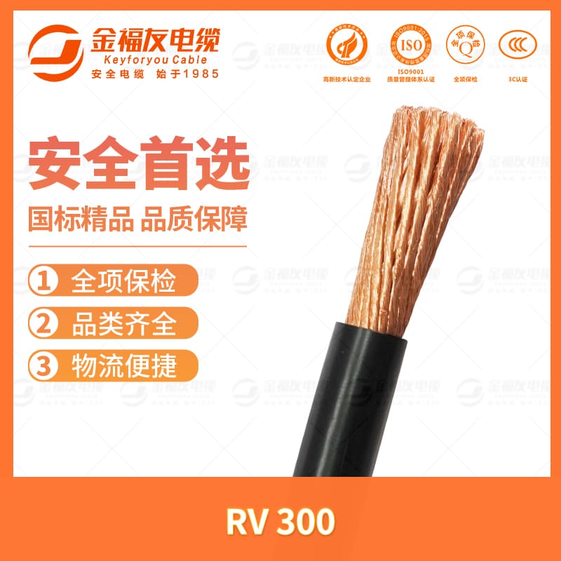 金福友產品-7.11-RV-300
