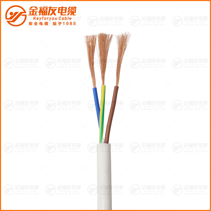 RVV白護(hù)套 300 500V 3X2.5
