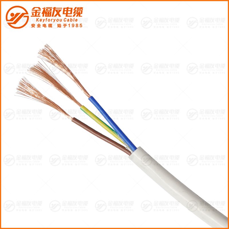 RVV白護(hù)套 300 500V 3X2.5