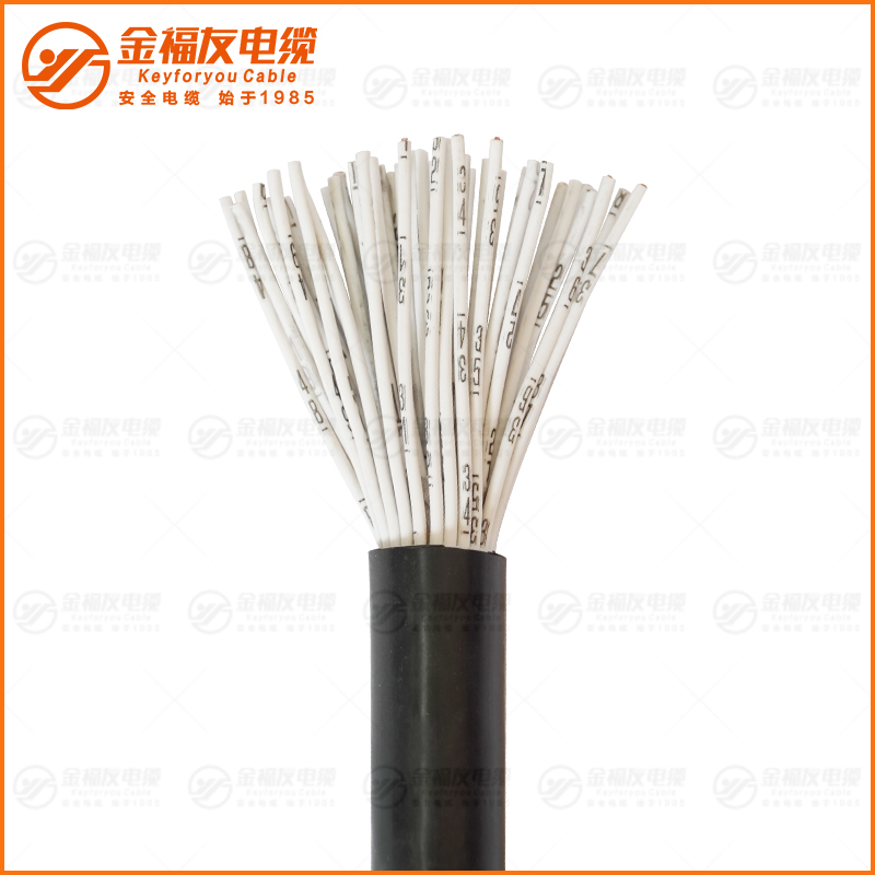 RVV護(hù)套軟線50芯