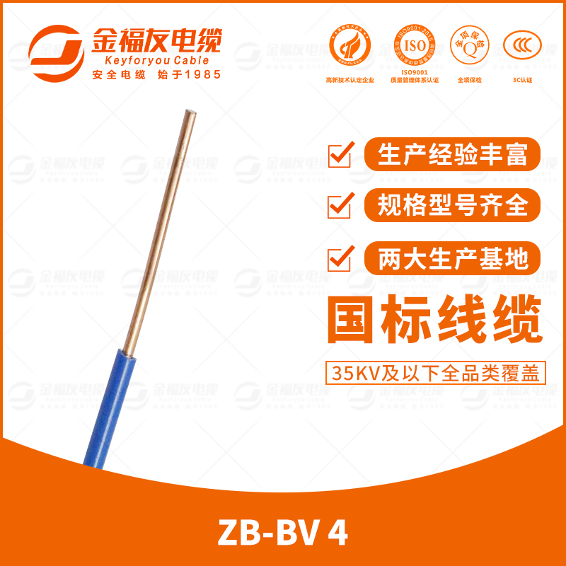 金福友產品-7.17-ZB-BV-4