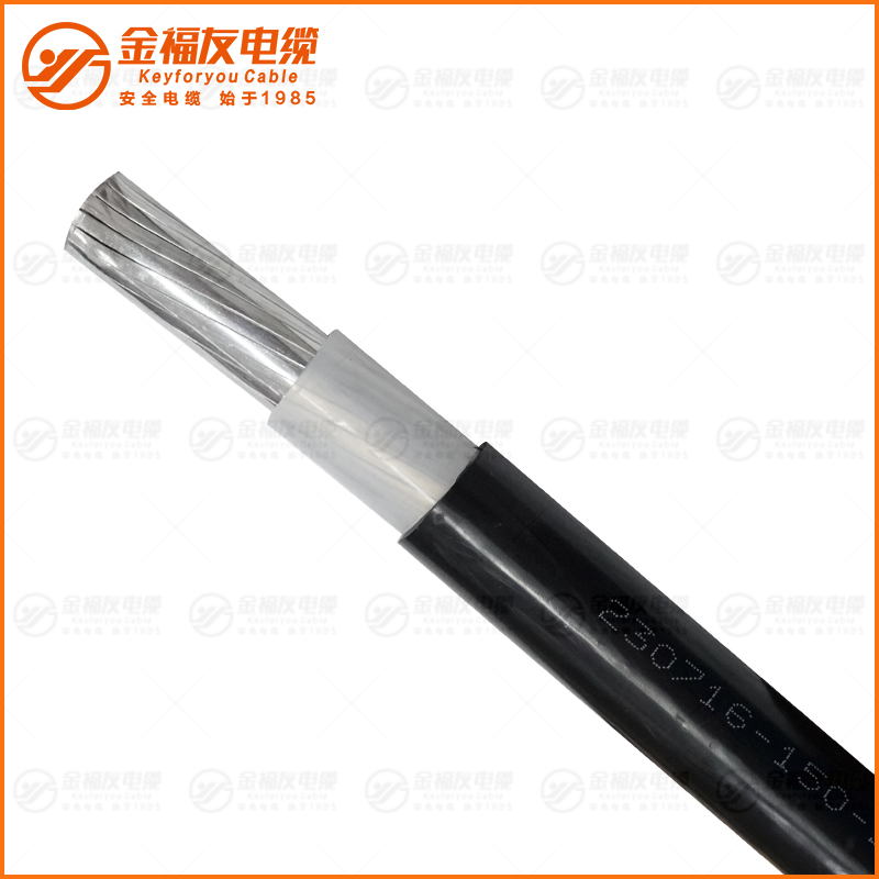 YJLHV  0.6 1KV 1X300