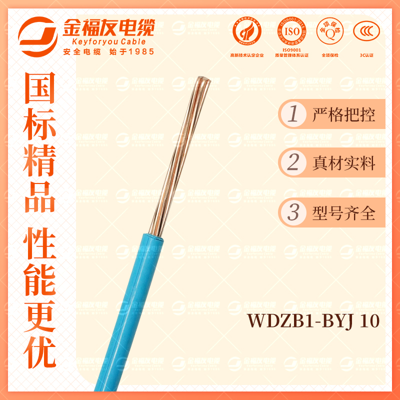 金福友產品-10.9-WDZB1-BYJ-10