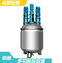 多功能反應釜的構成結構、參數技術典型的主體反應設備設計特點-成